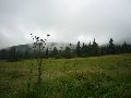 P1040840_.JPG