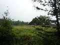 P1040996_.JPG